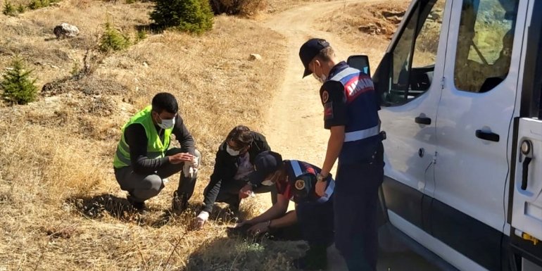 Elazığ'da jandarma sokak hayvanlarını besledi