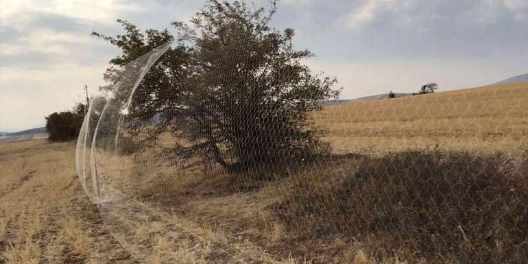 Elazığ'da yasa dışı yöntemlerle avcılık yapan 6 kişiye ceza uygulandı