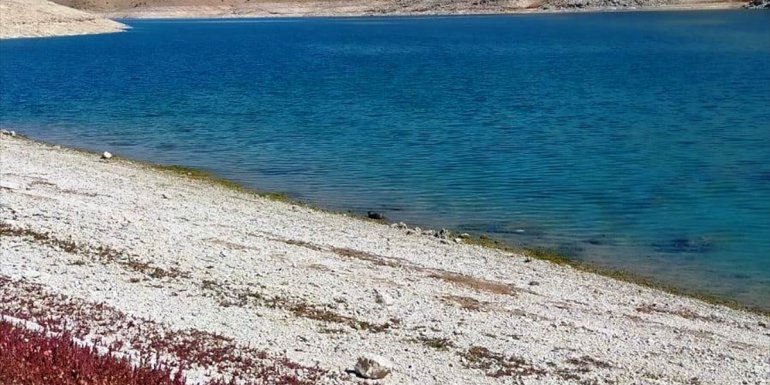 Keban Baraj Gölü'nde nesli tükenme tehlikesi altında olan su samuru görüldü