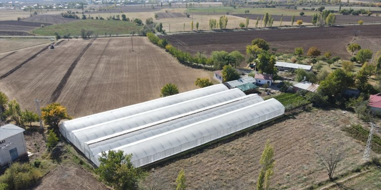 Tarım işçisi kadın devlet desteğiyle sera sahibi oldu