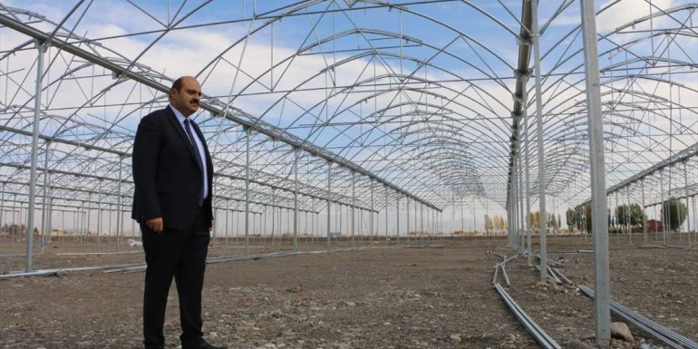 Erzurum'da jeotermal kaynaklar sayesinde kışın da domates üretilecek