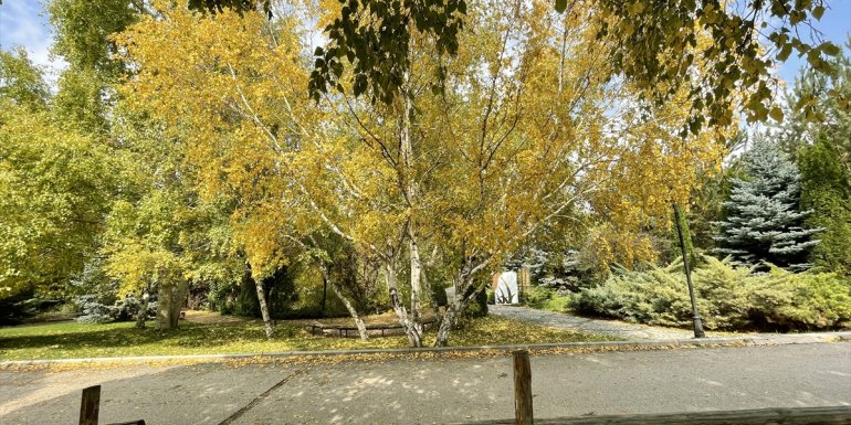 Erzurum'da parklar sonbahar renkleriyle güzelleşti