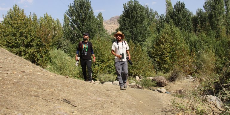 Hakkari'de görülen kuş türleri gözlemcileri heyecanlandırdı