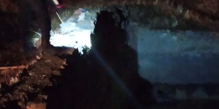 HAKKARİ - Sulama havuzuna düşen ayı yavruları kurtarıldı1