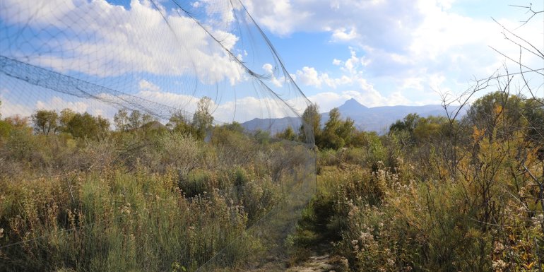 Aras Kuş Cenneti'nde bu sezon 3 bin 500 kuş halkalandı