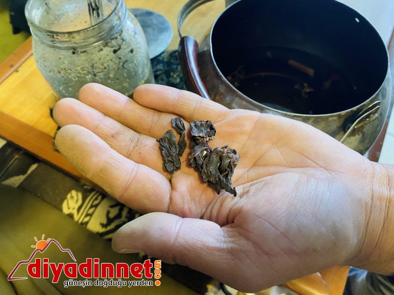 Kış aylarının koruyucu kalkanı kış çayı kaynamaya başladı7