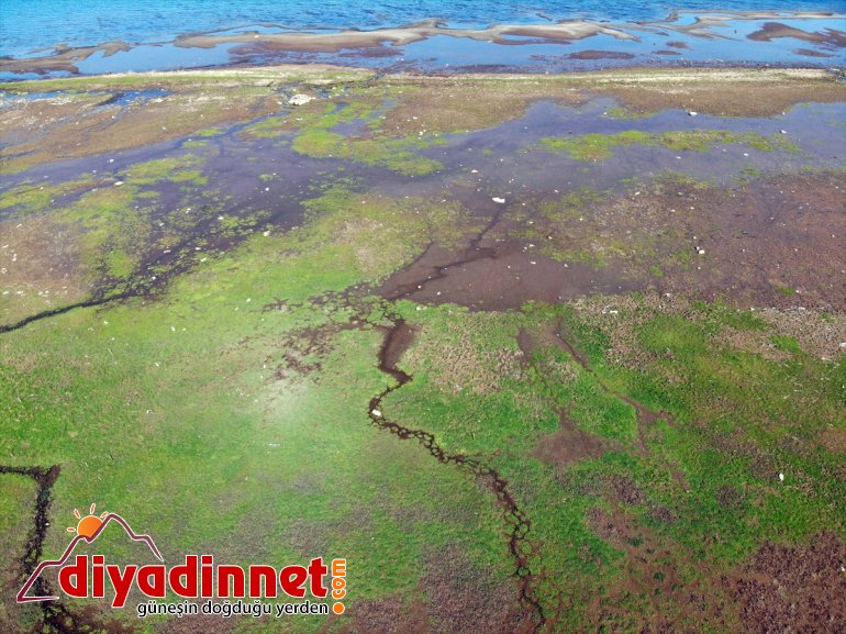 Kuraklık Balık vurdu saklı Ağrı