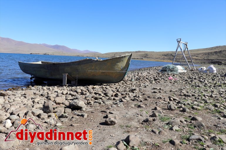 de vurdu saklı Ağrı