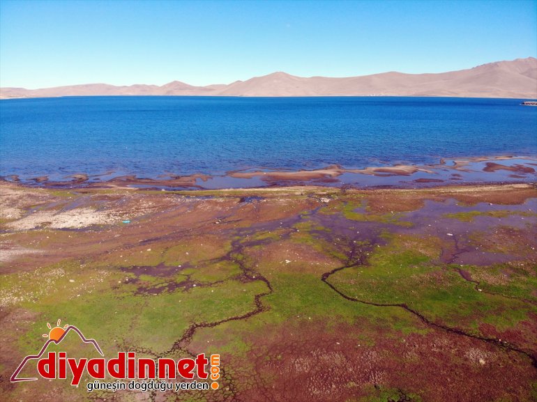 saklı Kuraklık Ağrı