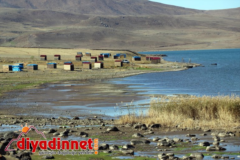 vurdu de Balık Kuraklık cenneti Ağrı