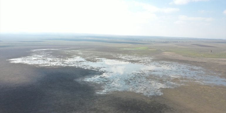 Kuruyan Kuyucuk Gölü sağlanan 'can suyu' ile yeniden kuşları ağırlıyor