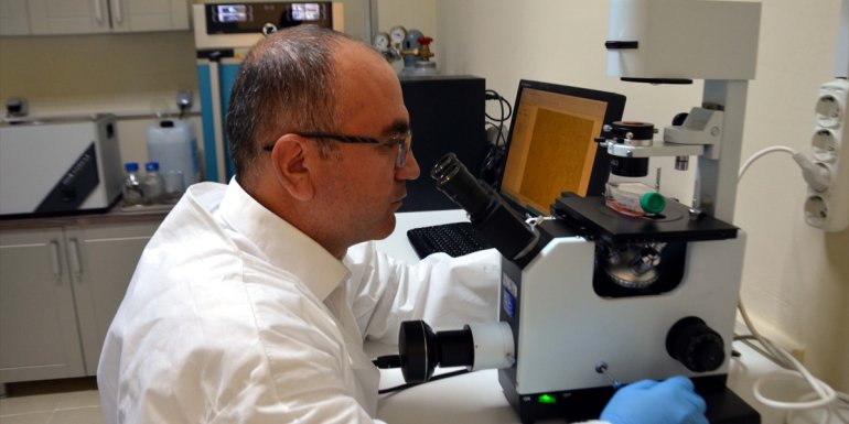 MŞÜ'de kanser tedavisine elektrokemoterapi çözümü