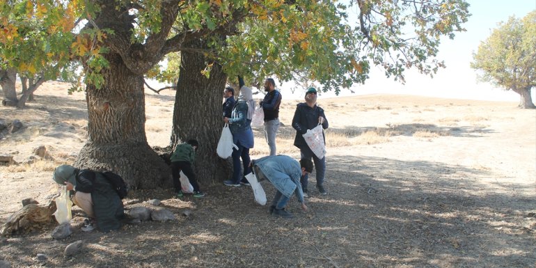 Muş'ta meşe ağaçları için farkındalık etkinliği düzenlendi