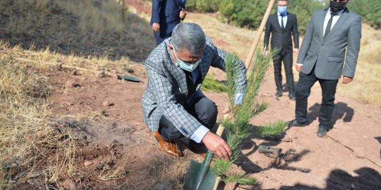 Tunceli'de Kovid-19 aşısı olanlar için birer fidan dikiliyor