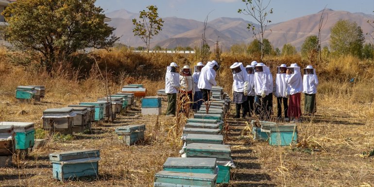 Van'ın arıcı kadınları "Çiftçi Okulu"nda yetişiyor