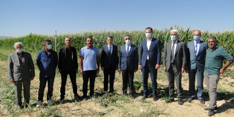 Yazıhan'da silajlık mısır hasadı yapıldı