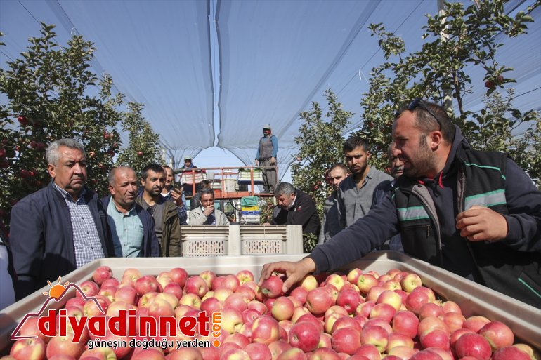 çiftçiler Niğde ve elma Ahlatlı gezdi Adana, Karaman