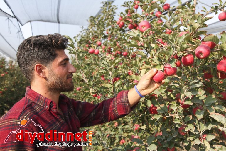 çiftçiler gezdi ve Adana, elma Ahlatlı Karaman