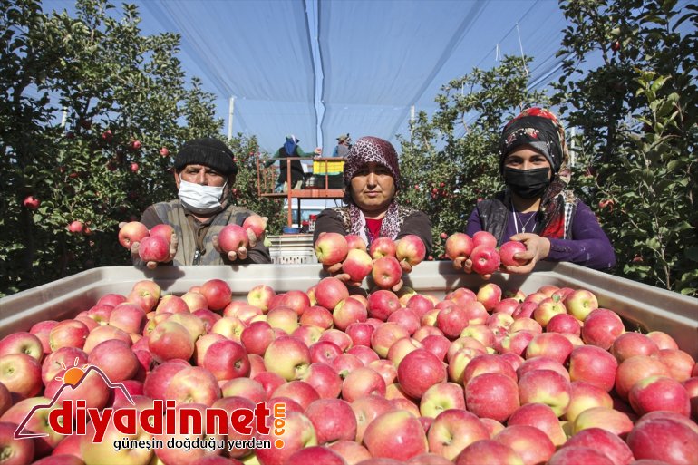 Adana, ve çiftçiler Ahlatlı gezdi Karaman