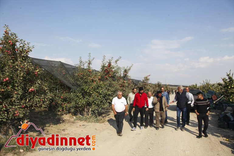 Adana, çiftçiler bahçelerini gezdi elma ve Ahlatlı Niğde Karaman