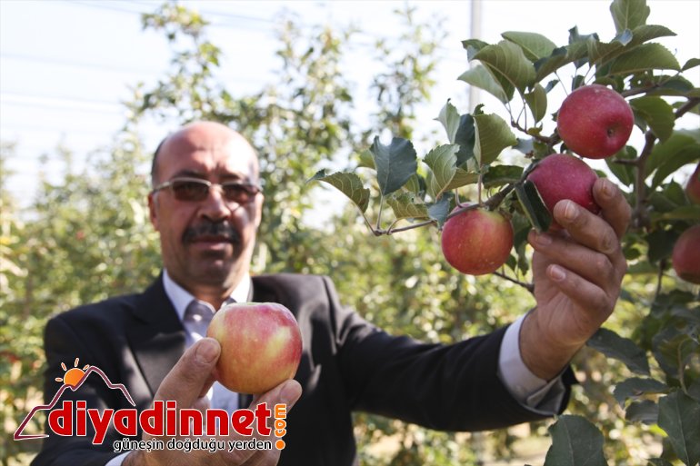ve elma Adana, Niğde Ahlatlı bahçelerini gezdi Karaman