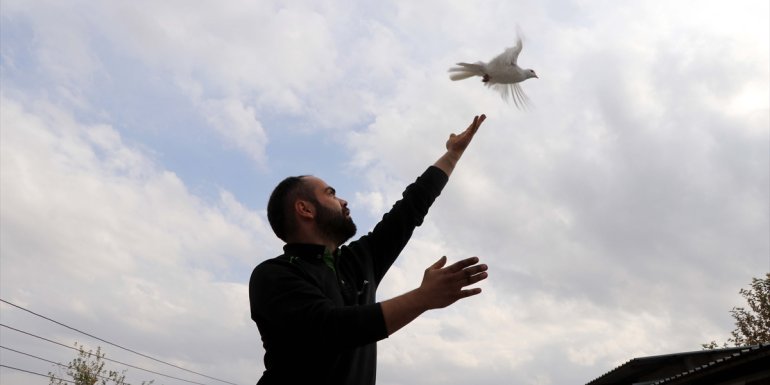 Elazığlı motor ustası iş yerinin ikinci katını güvercinlerine tahsis etti