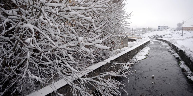 Erzurum, Kars ve Ardahan'da kar yağışı etkili oldu