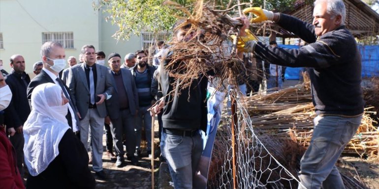 Hizan'da 22 bin meyve fidanı dağıtıldı