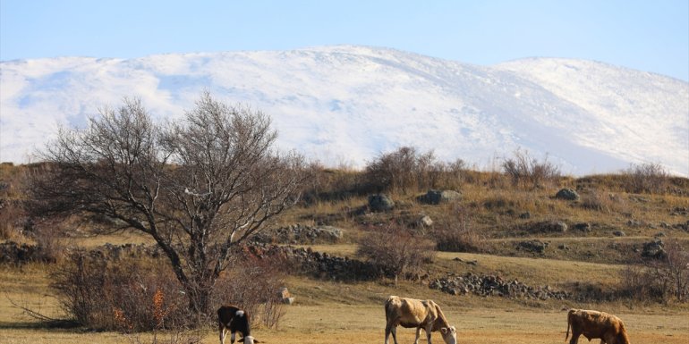 Aras Dağları'nda sonbahar ve kış bir arada yaşanıyor