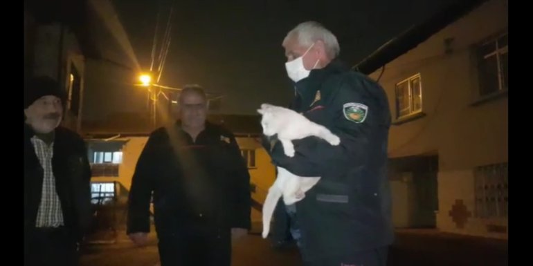 MALATYA - Ağaçta mahsur kalan kediyi itfaiye kurtardı1