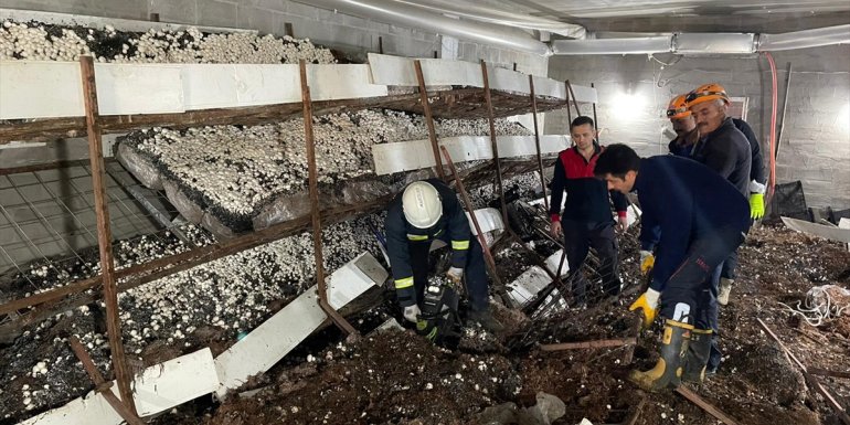 Van'da mantar üretim tesisinde devrilen rafların altında kalan 5 işçi yaralandı