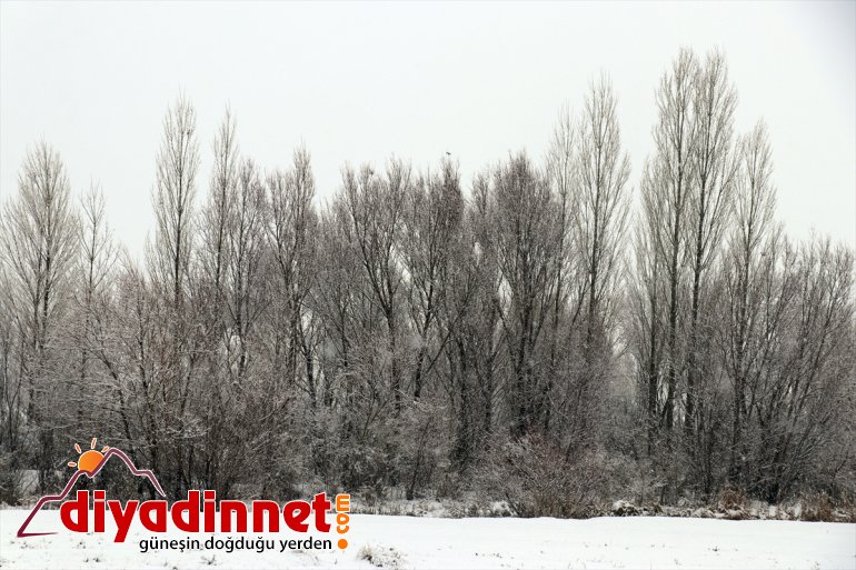  Ağrı beyaza büründü4