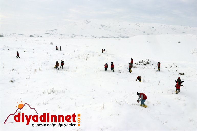 doğaya yem bırakıldı hayvanları için yaban Ağrı