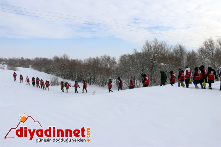 doğaya için bırakıldı hayvanları yaban Ağrı