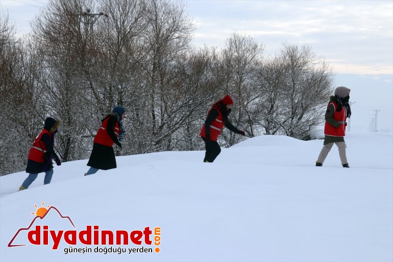 yem doğaya için yaban Ağrı