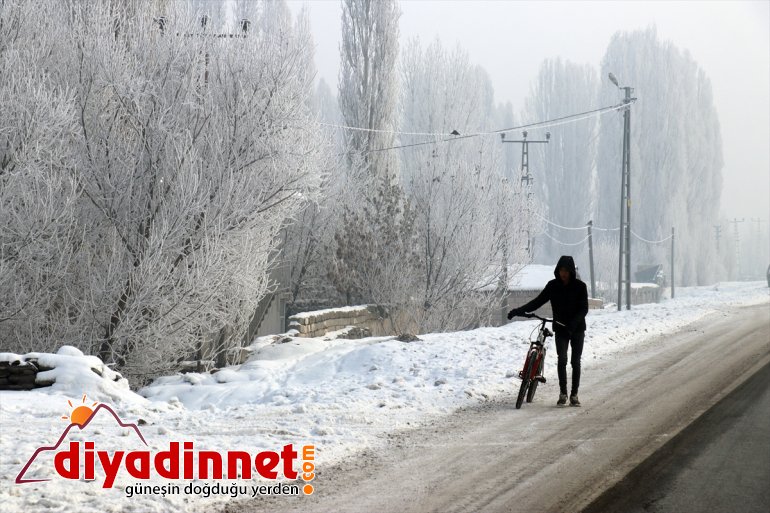 Ağrı'da dondurucu soğuklar etkili oluyor