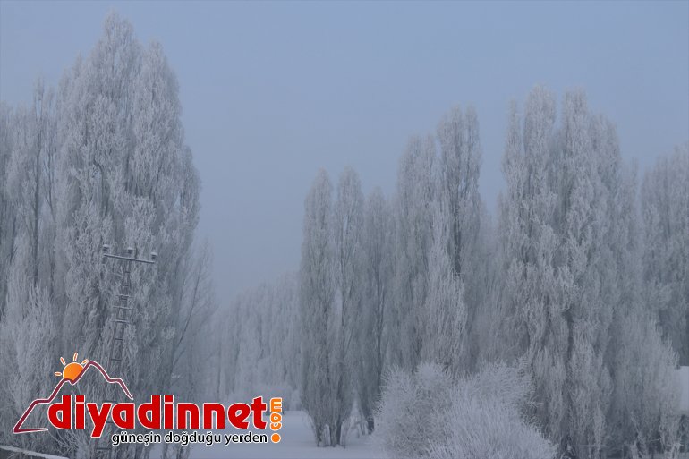 AĞRI etkili soğuklar oluyor Doğu dondurucu Anadolu