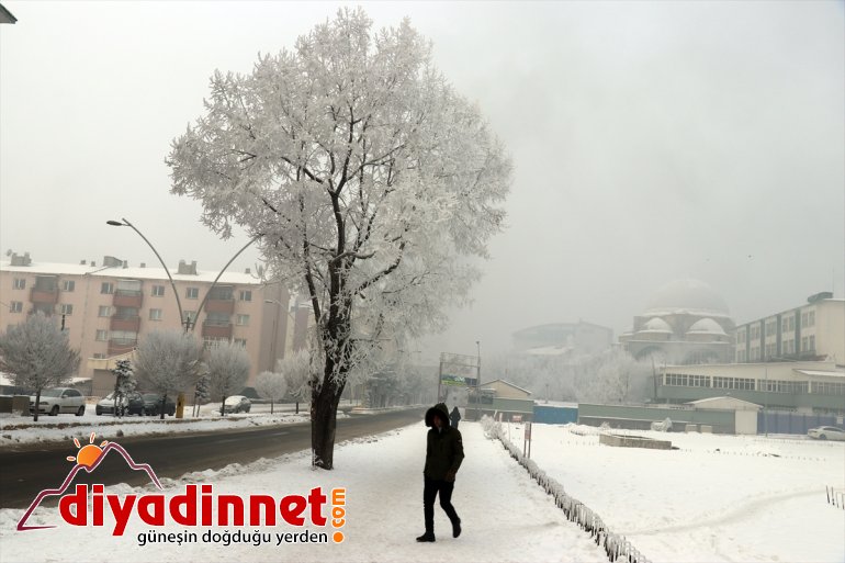 oluyor dondurucu etkili AĞRI Doğu soğuklar Anadolu