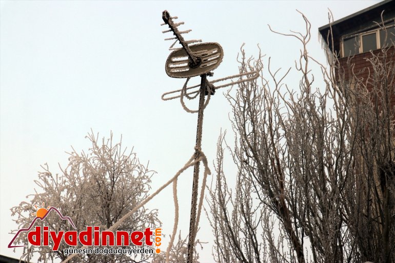 AĞRI Doğu - etkili soğuklar dondurucu Anadolu