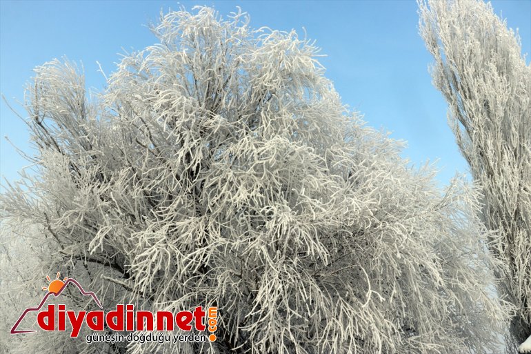 AĞRI soğuklar etkili oluyor Anadolu