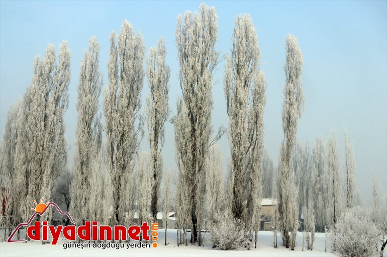 oluyor - dondurucu Doğu etkili Anadolu