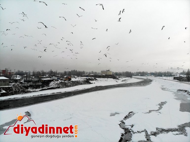 soğuk hava AĞRI - Doğu