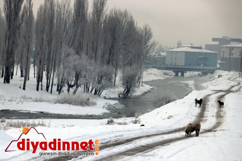AĞRI hava soğuk Doğu
