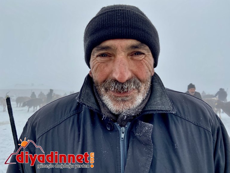 Ağrı dondu, hayvanlar buz kesti5
