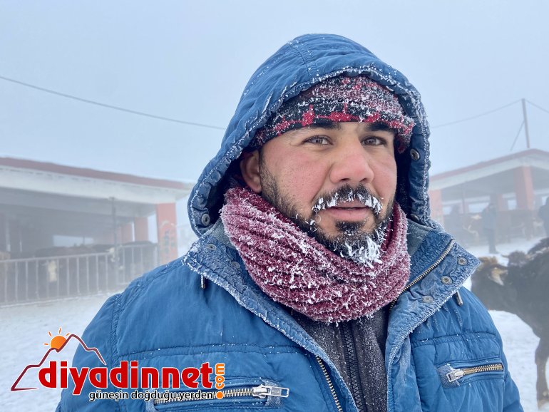 Ağrı dondu, hayvanlar buz kesti6