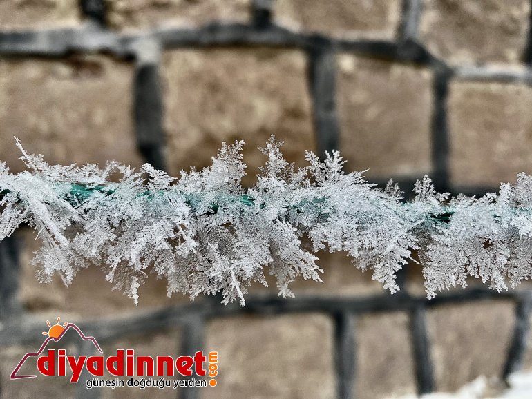 Ağrı dondurucu soğuklara teslim oldu1