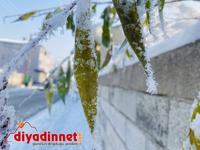 Ağrı dondurucu soğuklara teslim oldu8