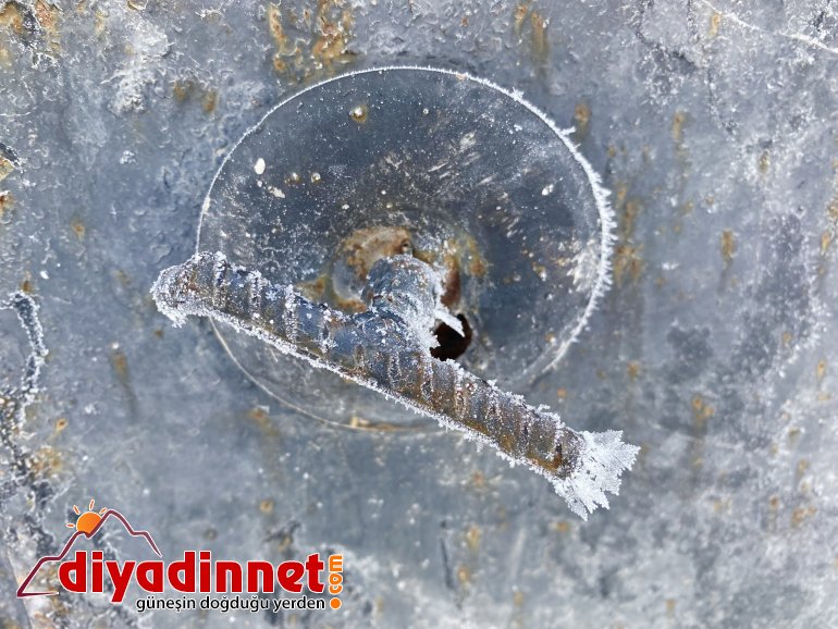 Ağrı dondurucu soğuklara teslim oldu9