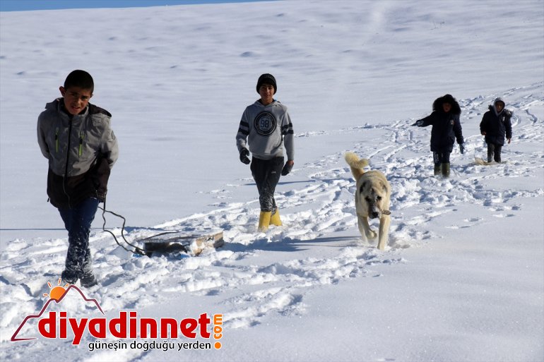 tatilini eğlendi Okul kayarak - AĞRI kızaklarla fırsat çocuklar bilen 3