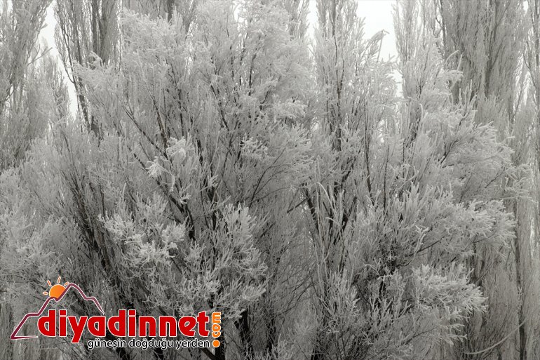 Ağrı sis bulutlarıyla kaplandı1